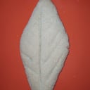 Foto de galleta 