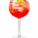 Foto de Campari & Tonic