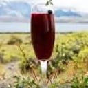 Foto de Calafate Sour