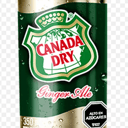 Foto de Canada Dry Ginger Ale