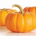 Foto de Calabaza