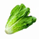 Foto de Lechuga 