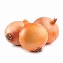 Foto de cebolla Granel