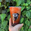 Foto de Pepino chamoy