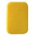 Foto de ESPONJA AMARILLA FRAGUAR TRENTINI
