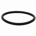 Foto de O-RING GIGANTE