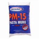 Foto de PASTA MURO 1KG