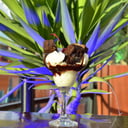 Foto de BROWNIE CON HELADO