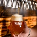 Foto de Pintas Lupuladas