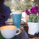 Foto de Tepuchino Blue