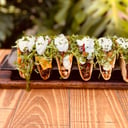 Foto de Taco Set x6