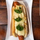 Foto de Perro sencillo