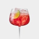 Foto de Campari Tonic