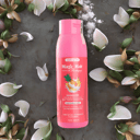 Foto de Shampoo Anticaída Para Cabello Seco (Banana Piña)