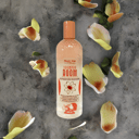 Foto de Shampoo Reparador Boom