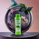 Foto de Shampoo De Aloe Vera