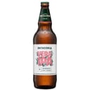 Foto de PATAGONIA VERA IPA X 730cc