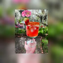 Foto de Rosada - fresa cerveza rosada 3cordilleras