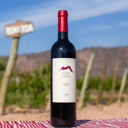 Foto de Vista Larga Bonarda