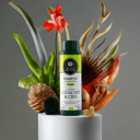Foto de Shampoo Para Hombre Con Aguacate Y CBD