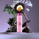 Foto de Agua Micelar Con Rosas
