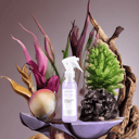 Foto de Perfume Capilar Morado