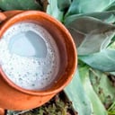 Foto de Pulque