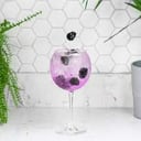 Foto de Gin con Moras