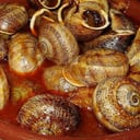 Foto de Caracoles Salteados con Sobrasada