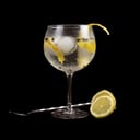 Foto de Gin 