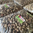 Foto de SEMILLA DE MARAÑON PARA CULTIVO
