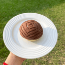 Foto de Conchas 