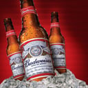 Foto de Budweiser