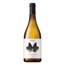 Foto de VINO JAVIER SANZ V MALCORTA VERDEJO SINGULAR 75CL.