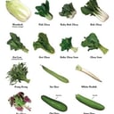Foto de Verduras Chinas