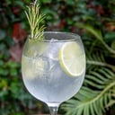 Foto de Gin And Tonic