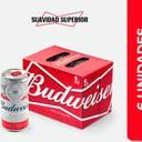 Foto de BUDWEISER