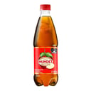 Foto de Sidral Mundet 600