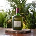 Foto de BUCHANAS MASTER