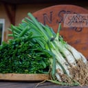Foto de 25 calçots Crús