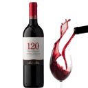 Foto de VINO TINTO 3/4 (120)