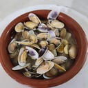Foto de Coquinas