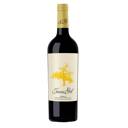 Foto de JUAN GIL MONASTRELL