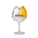 Foto de BEEFEATER & TONIC
