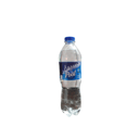 Foto de AGUA POOL PET 600