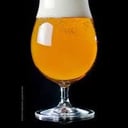 Foto de American Pale Ale 