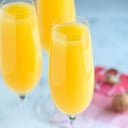 Foto de Mimosa