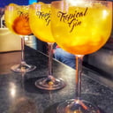 Foto de Gin Tropical  