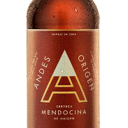 Foto de Cerveza Andes 1L