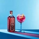 Foto de GIN BOMBAY BRAMBLE